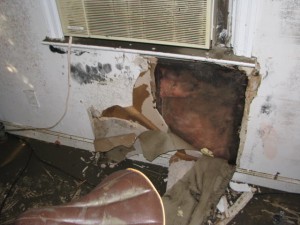Severe sheetrock mold damage